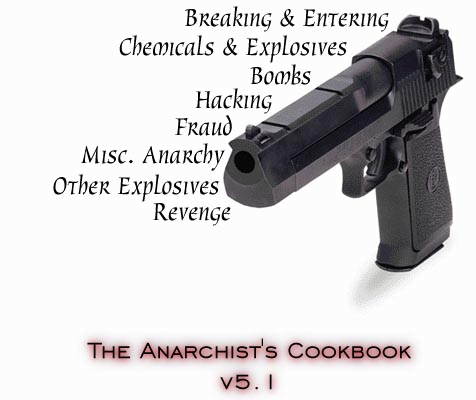 the anarchy cookbook